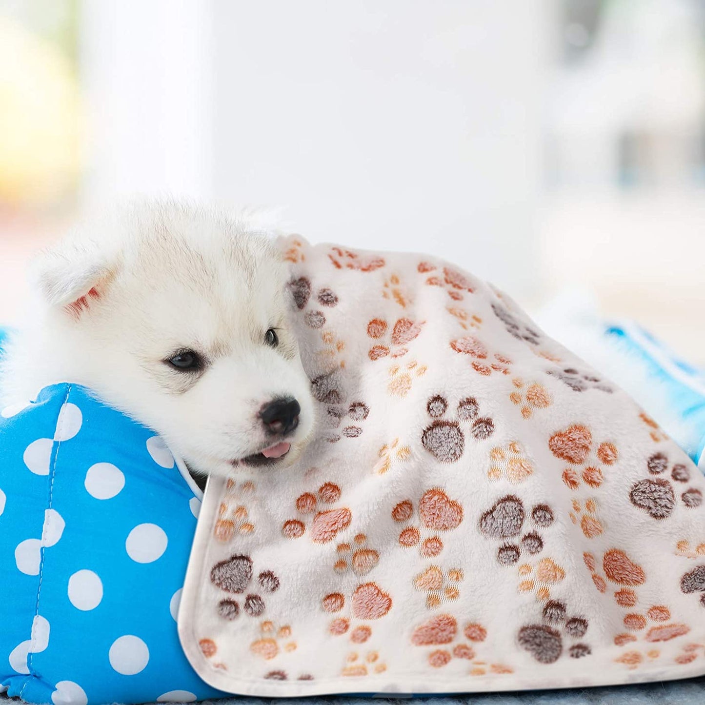 4 Pcs Pet Blanket Dog Puppy Paw Print Fleece