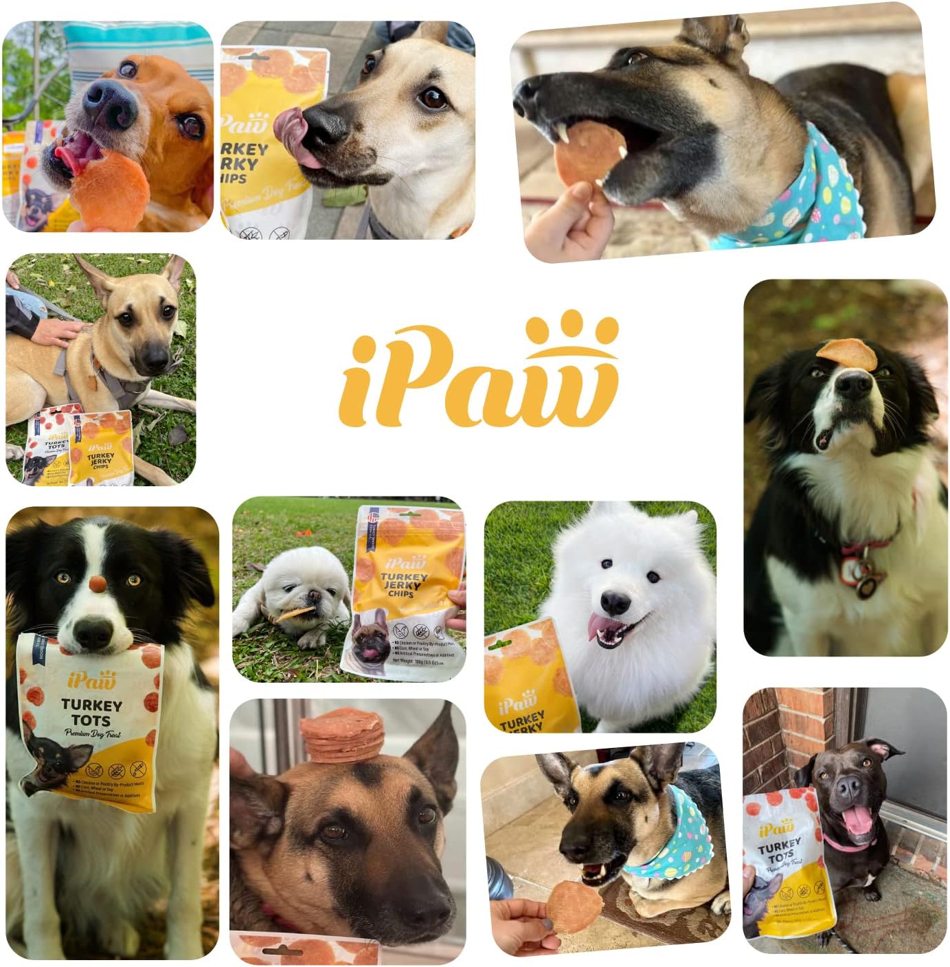 iPaw Turkey Dog Treats for Puppy Training