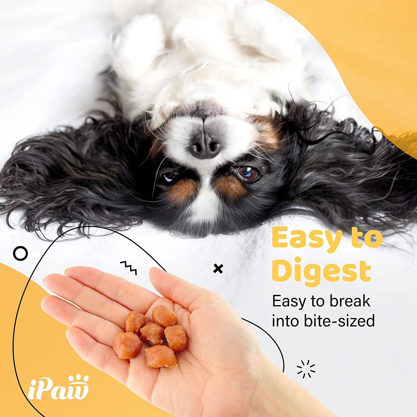 iPaw Turkey Dog Treats for Puppy Training