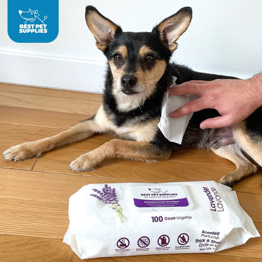 Best Pet Supplies 8″ x 9″ Pet Grooming Wipes