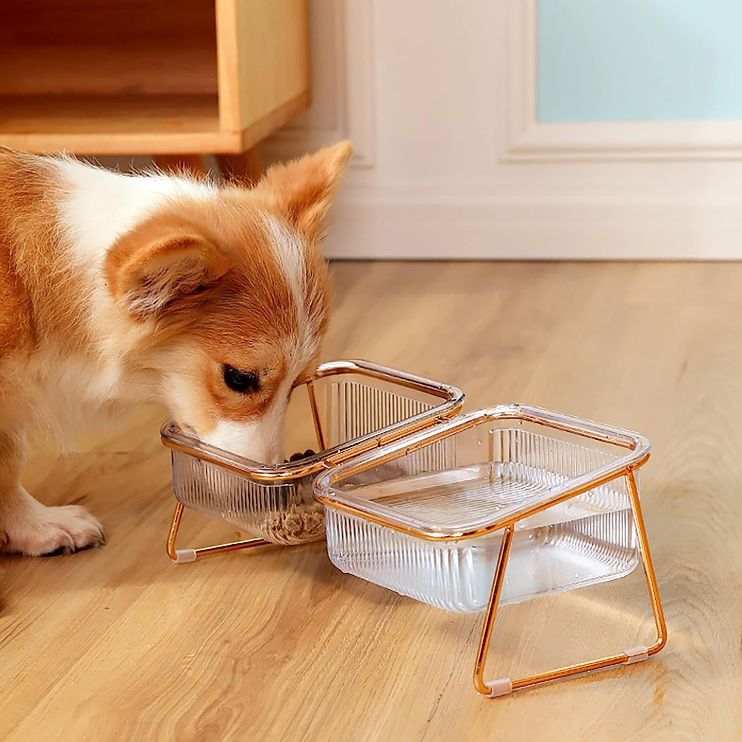 Elevated Cat Bowls, 5.5 inches Food & Water Bowls